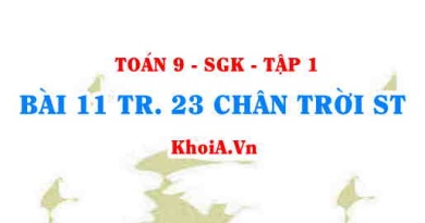 Bài 11 trang 23 Toán 9 Chân trời sáng tạo Tập 1